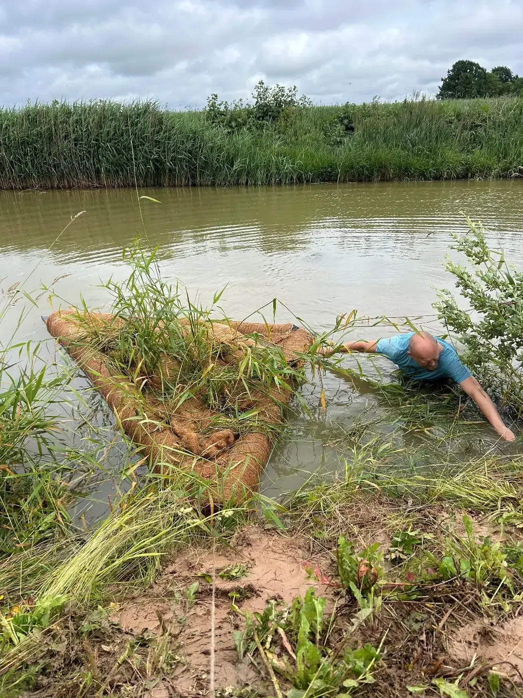 Apstādīts BioFloat peldošā mitrāja modulis krastā